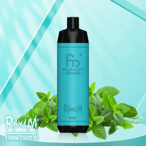 Randm Shisha 10000 - Mint