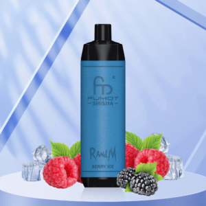 Randm Shisha 10000 - Berry Ice