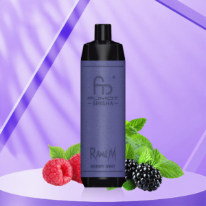 Randm Shisha 10000 - Berry Mint