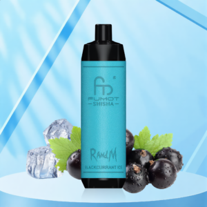 Randm Shisha 10000 - Blackcurrant Ice