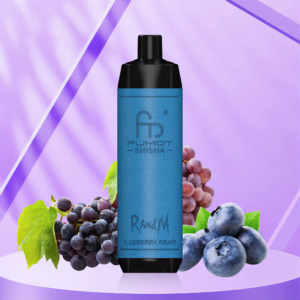 Randm Shisha 10000 - Blueberry Grape