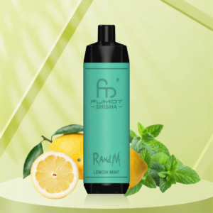 Randm Shisha 10000 - Lemon Mint