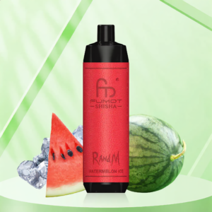 Randm Shisha 10000 - Watermelon Ice