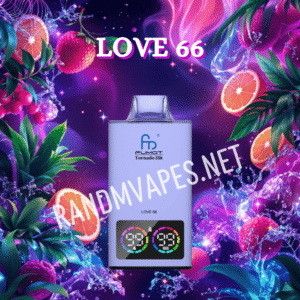 Love 66